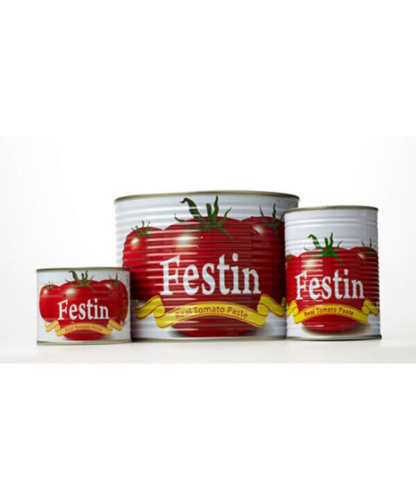 Festin Tomato Paste